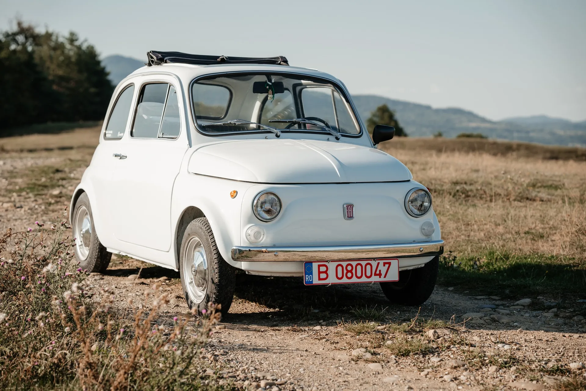 Fotografia 8 din galeria Classic Vintage Car Fiat 500