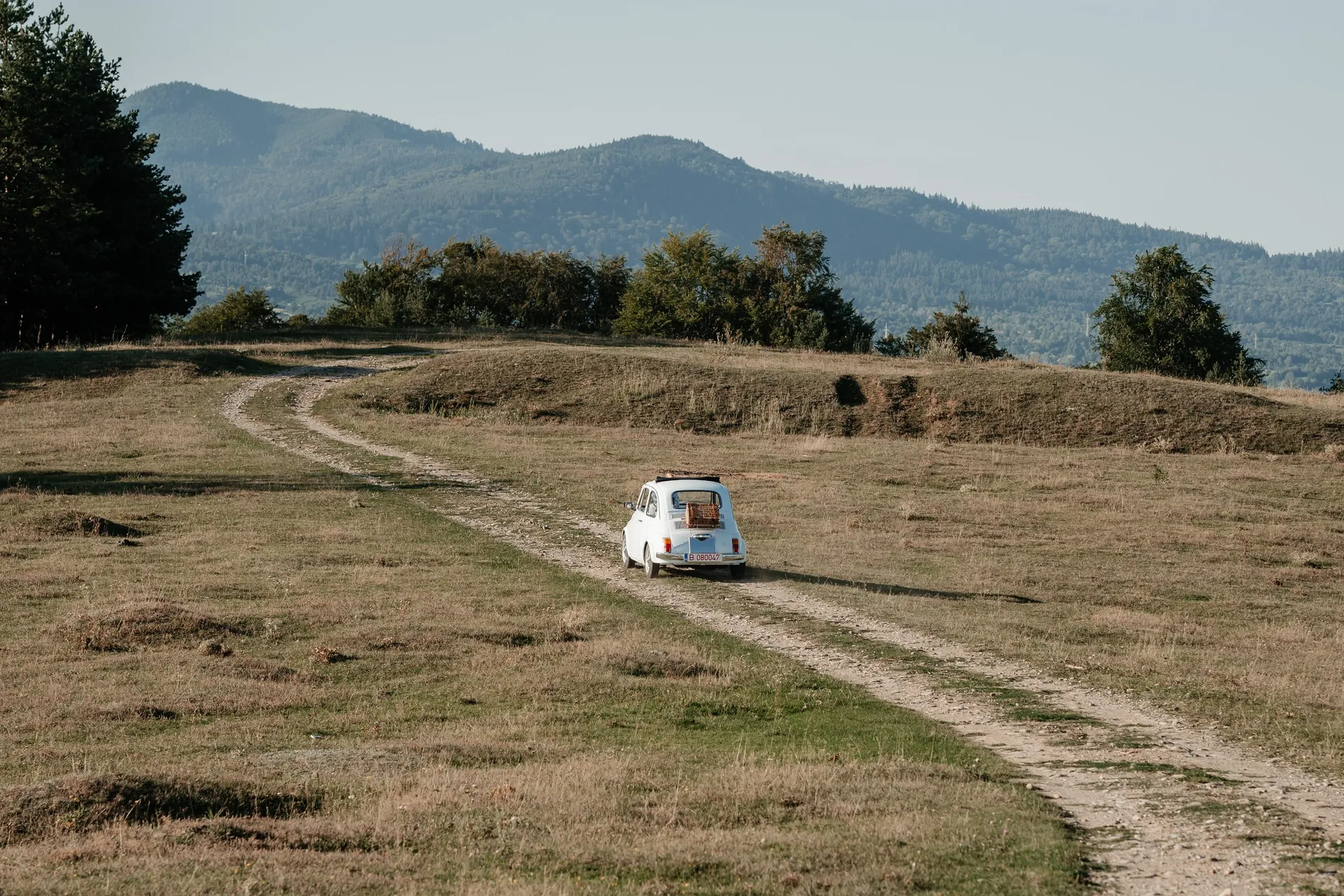 Fotografia 7 din galeria Classic Vintage Car Fiat 500