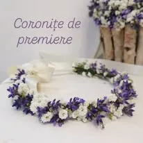 Fotografia 16 din galeria iFLOWERS