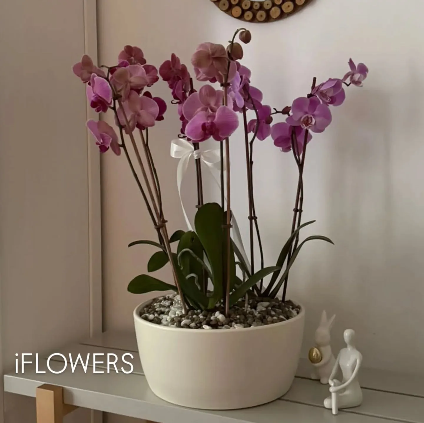 Fotografia 9 din galeria iFLOWERS